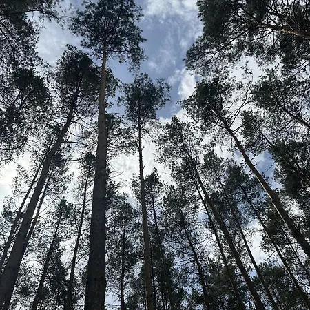 Дом отдыха W Lesie Gnojno