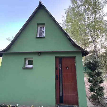 W Lesie Gnojno