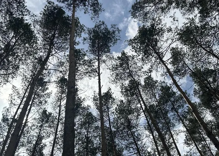 Holiday home W Lesie Gnojno