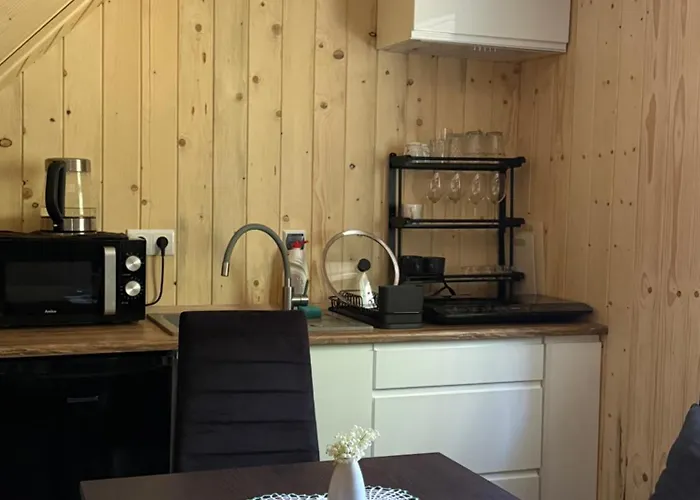 Holiday home W Lesie *